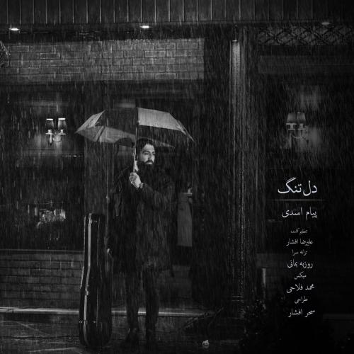 دانلود آهنگ دلتنگ پیام اسدی